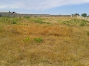 Satılır 24 sot torpaq Albalı