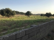 Satılır 100 sot torpaq Buzovna