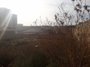 Satılır 8 sot torpaq Badamdar