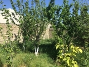 Satılır 6 sot torpaq Şüvəlan