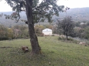 Satılır 12 sot torpaq Quba