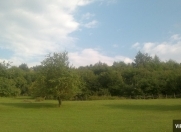 Satılır 1 otaqlı 13000 m2 bağ evi Quba