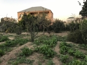 Satılır 7 otaqlı 250 m2 bağ evi Türkan