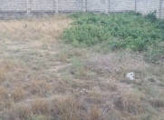 Satılır 6 sot torpaq Zirə