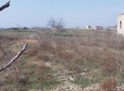 Satılır 12 sot torpaq Nardaran