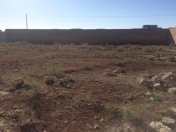 Satılır 24 sot torpaq Türkan