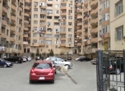 Satılır 3 otaqlı 130 m2 yeni tikili İnşaatçılar m.