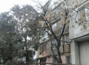 Satılır 1 otaqlı 32 m2 köhnə tikili Bakı Dövlət Universiteti