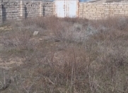 Satılır 6 sot torpaq Dübəndi bağları