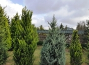 Satılır 14 sot torpaq Mərdəkan