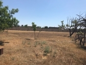 Satılır 26 sot torpaq Albalı