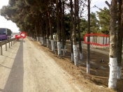 Satılır 3 sot torpaq Ceyranbatan