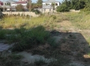 Satılır 40 sot torpaq Saray