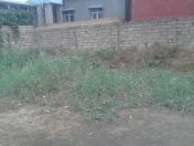 Satılır 2 sot torpaq Binəqədi