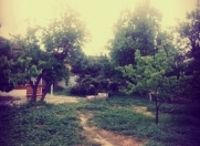 Satılır 3 sot torpaq Mingəçevir