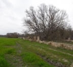 Satılır 12 sot torpaq Xudat