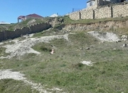 Satılır 7 sot torpaq Binəqədi