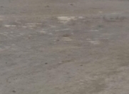 Satılır 10 sot torpaq Hökməli