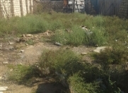 Satılır 3 sot torpaq Digah