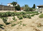 Satılır 4 otaqlı 1200 m2 həyət evi Buzovna