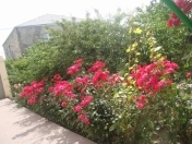 Satılır 5 otaqlı 450 m2 həyət evi Balaxanı