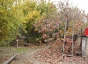 Satılır 4 sot torpaq Rəsulzadə