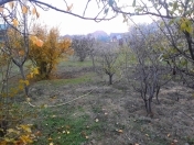 Satılır 8 sot torpaq Şağan