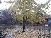 Satılır 7 otaqlı 150 m2 həyət evi Qusar