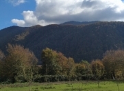 Satılır 10 sot torpaq İsmayıllı