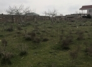 Satılır 25 sot torpaq Xaşaxuna