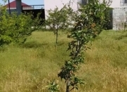 Satılır 3 otaqlı 600 m2 həyət evi Mehdiabad