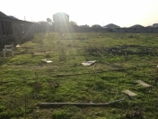 Satılır 54 sot torpaq Bilgəh