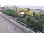 Satılır 20 sot torpaq Buzovna