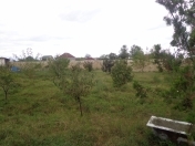 Satılır 4 otaqlı 160 m2 bağ evi Xaçmaz