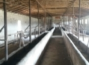 Satılır 8 otaqlı 800 m2 obyekt Mehdiabad