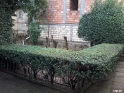 Satılır 6 sot torpaq Cəlilabad