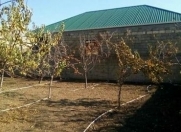 Satılır 8 sot torpaq Sulutəpə