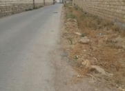 Satılır 70 sot torpaq Xırdalan