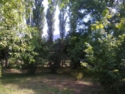 Satılır 8 sot torpaq İsmayıllı