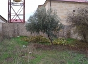 Satılır 3 sot torpaq Həzi Aslanov