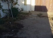 Satılır 5 sot torpaq Masazır