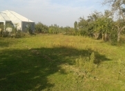 Satılır 10 sot torpaq Quba