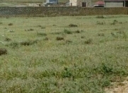 Satılır 54 sot torpaq Mehdiabad