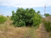 Satılır 5 sot torpaq Masazır