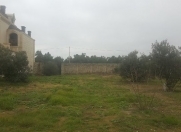 Satılır 24 sot torpaq Bilgəh