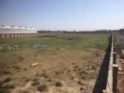 Satılır 1500 sot torpaq Albalı