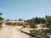 Satılır 23 sot torpaq Albalı