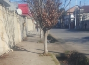 Satılır 100 sot torpaq 28 Mall