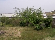 Satılır 10 sot torpaq Hökməli