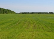 Satılır 317 sot torpaq Tovuz